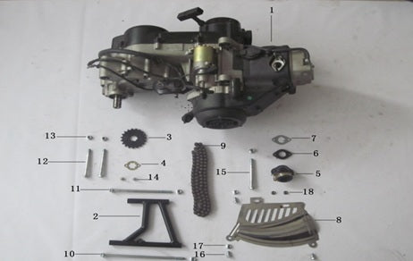 Pentora Front Sprocket - 116300501072201