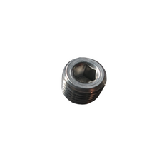 Load image into Gallery viewer, ODES-Crankcase Plug Screw Nut 1/4-21040105801
